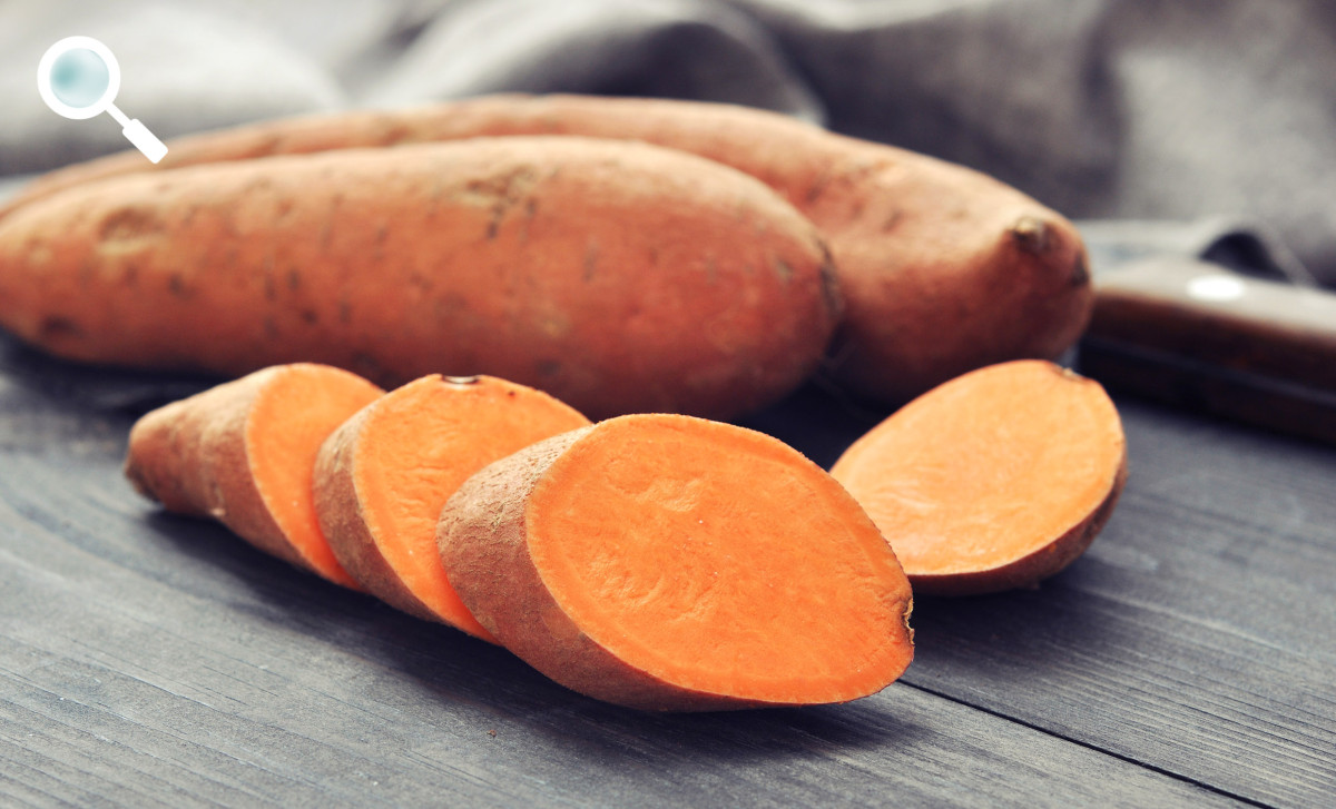 Can Dogs Eat Sweet Potatoes? Safety Guide for Feeding