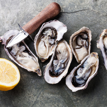 Can dogs eat oysters and what are the benefits and risk feeding oysters to my dog