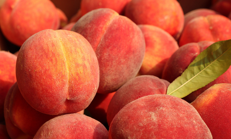 close up of a pile of ripe peaches
