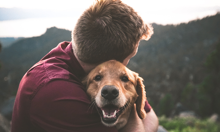 Man hugging tan dog outdoors