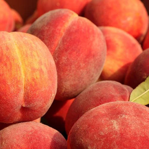 close up of a pile of ripe peaches