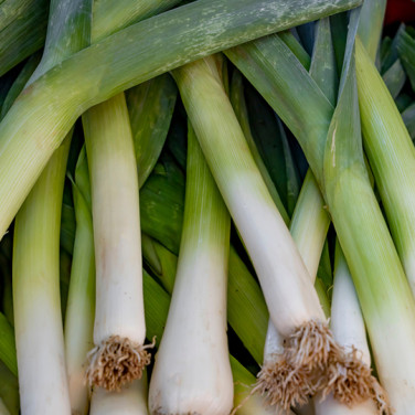 a background of ripe leeks