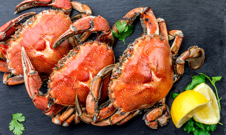 three steamed crabs on charcoal tray with lemons and parsley