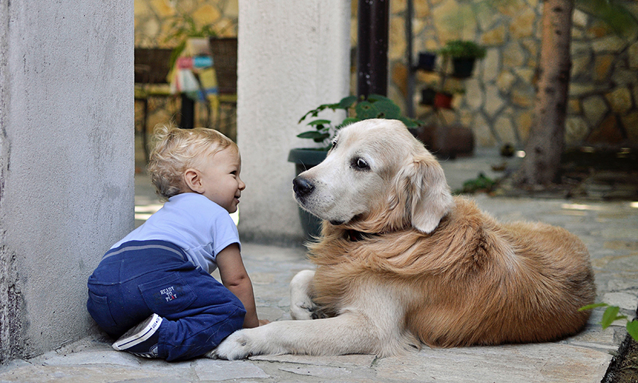 newborn baby in blue clothing smiling at blonde dog in backyard