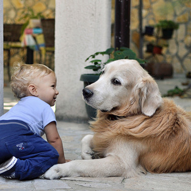 newborn baby in blue clothing smiling at blonde dog in backyard