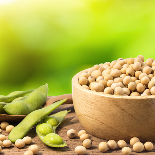 bowl of soybeans next to scattered beans and soybean pods on table