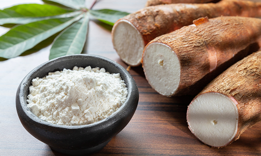 A medium sized bowl of tapioca starch in front of three sections of a cassava root