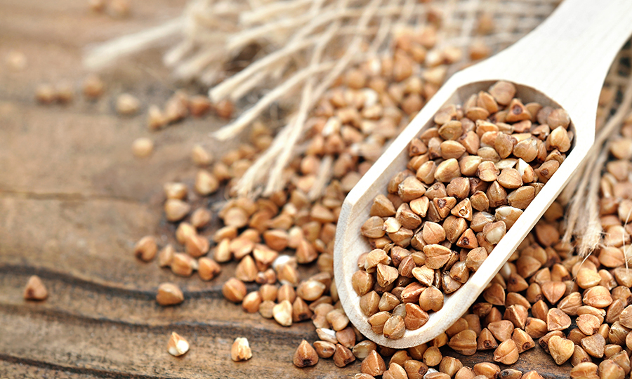 A white plastic scooper filled with buckwheat seeds laid on top of more buckwheat seeds