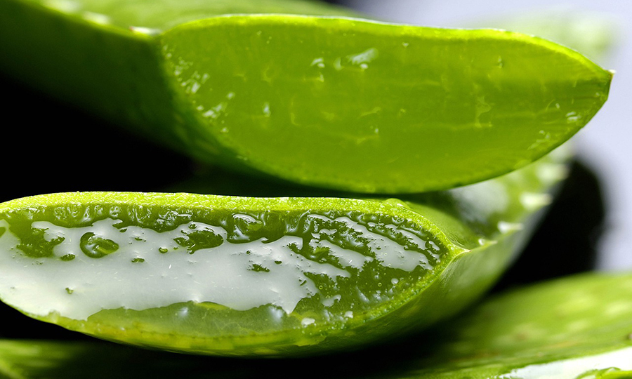 close up of aloe vera gel from cut side of two leaves