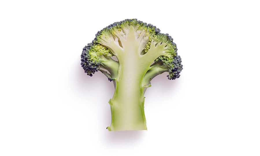 sliced piece of broccoli