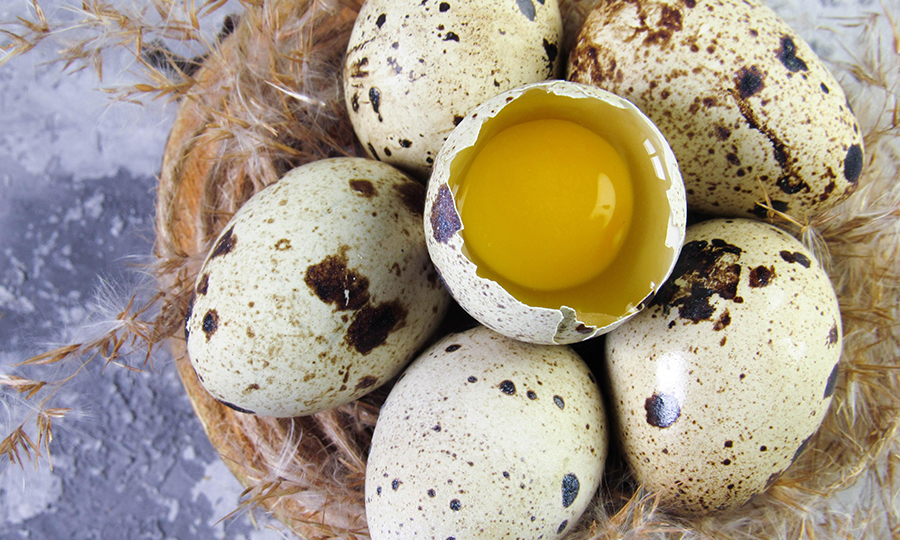 A birds eye view of a cracked quail egg with its yolk exposed surrounded by 5 quail eggs