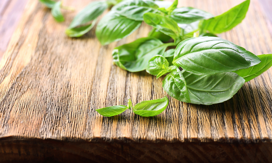 basil leaves scattered across sunlit wooden surface