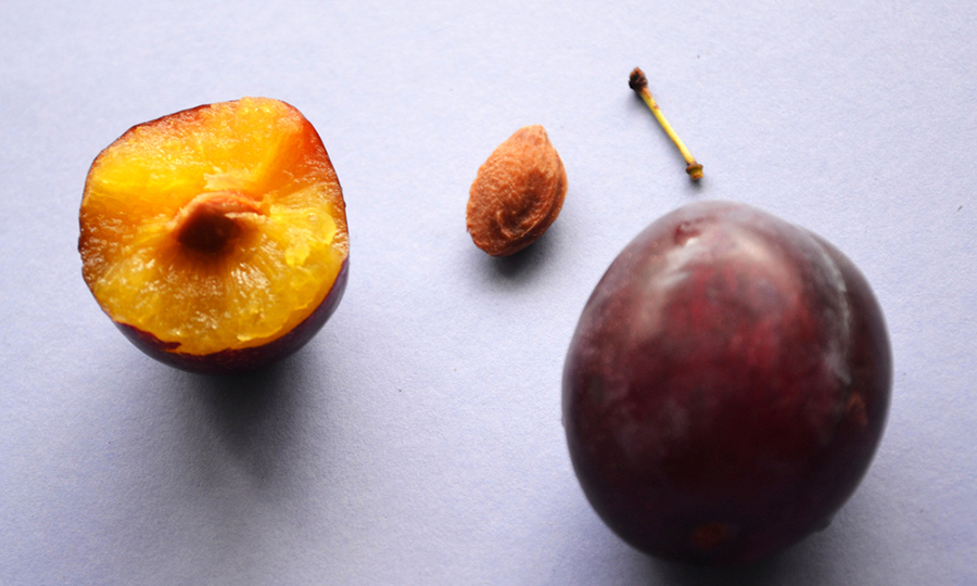 plum flesh seed of plum stem and a ripe plum spread out on table