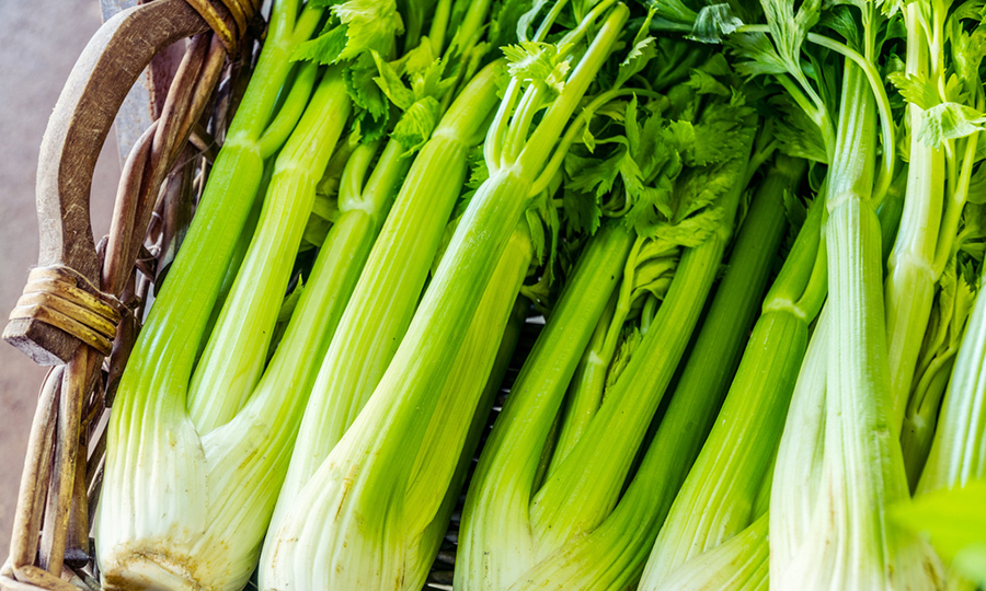 basket full of fresh celery stalks