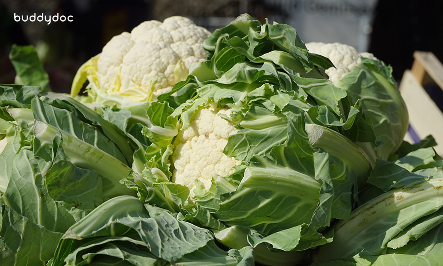 two harvested cauliflower heads surrounded by cauliflower leaves