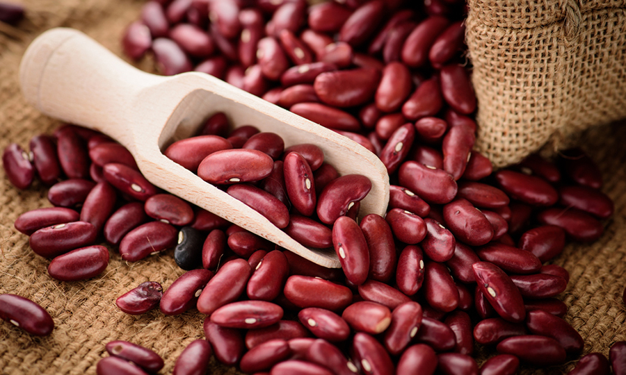 wooden scooper full of red kidney beans set on top of a pile of beans