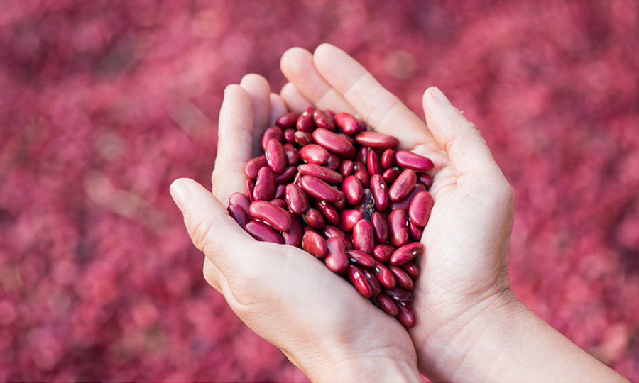 woman holding two handfuls of red kidney beans