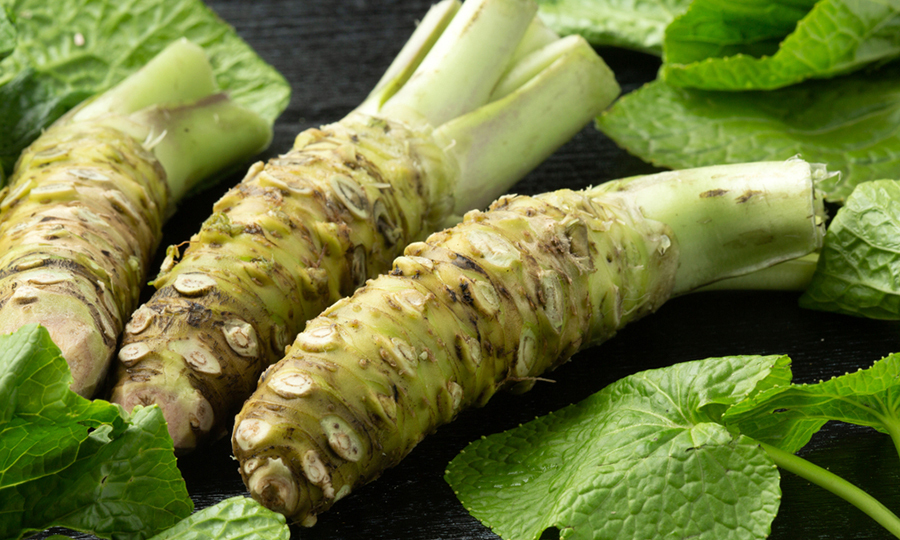 ripe wasabi roots next to leaves