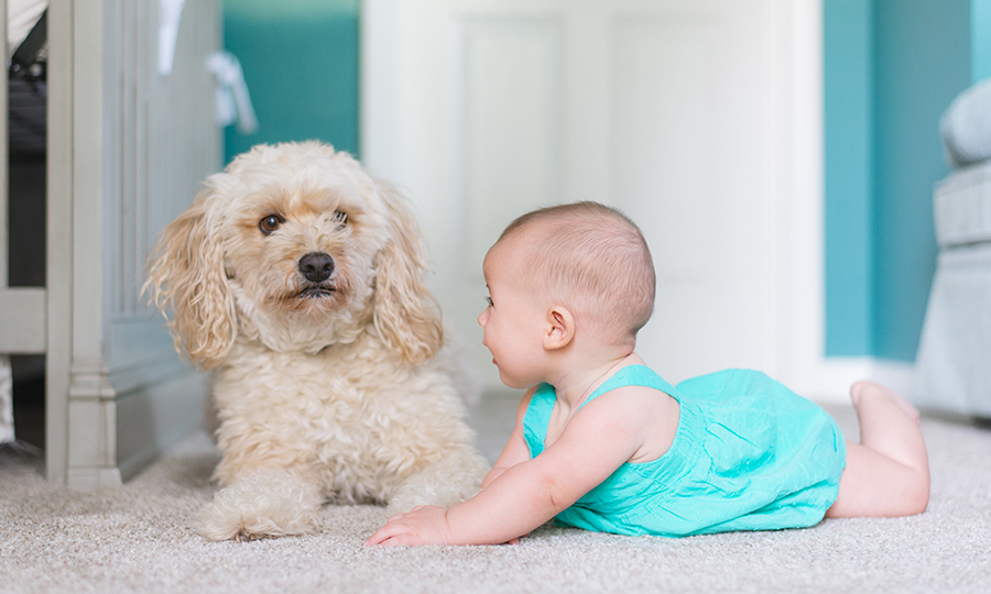 baby in blue onesie laying next to blonde puppy in baby’s room