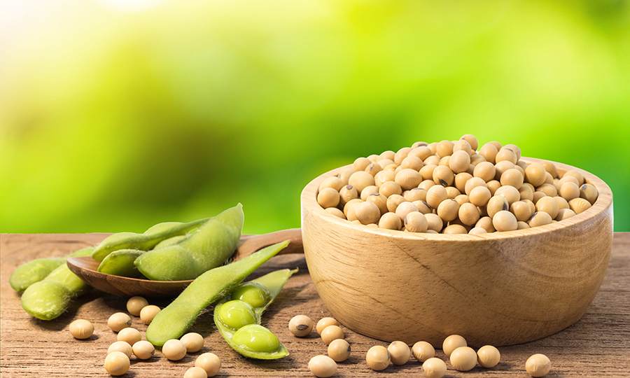 bowl of soybeans next to scattered beans and soybean pods on table