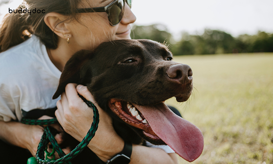 woman embracing her dog at the park