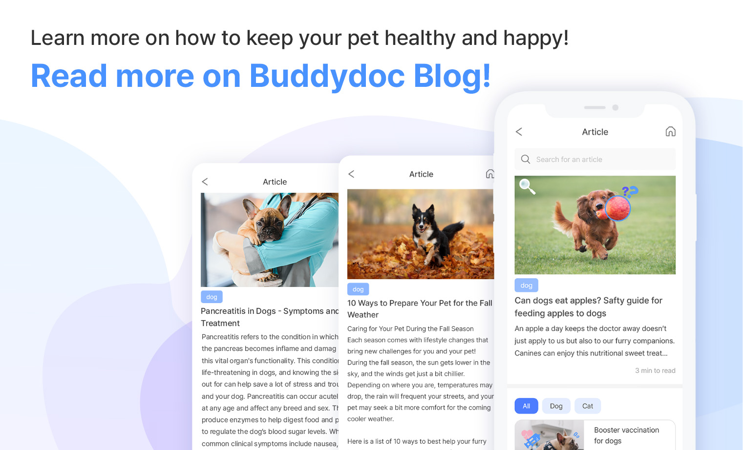 Buddydoc blog info sheet