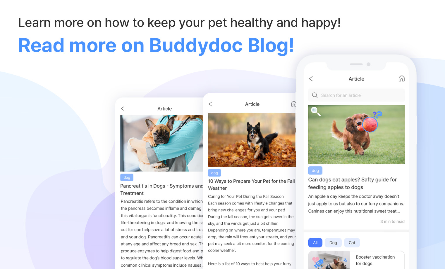 Buddydoc_blog_read_more