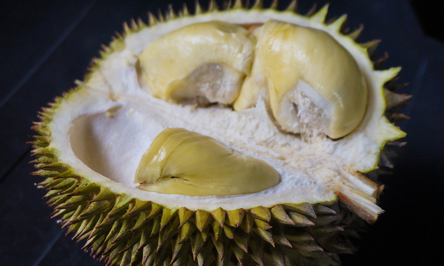 A cut open durian fruit with half of one pod of durian flesh is missing