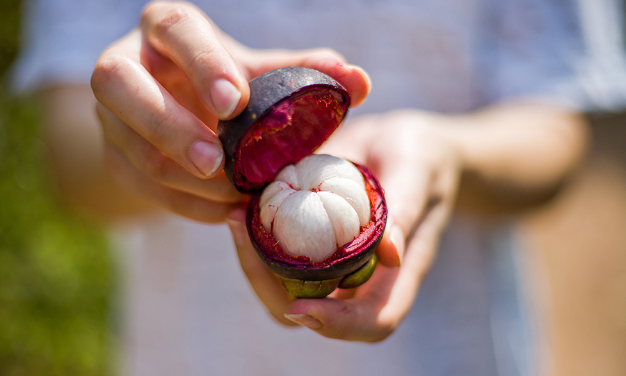 A woman holding a cut open mangosteen with its white flesh in full view
