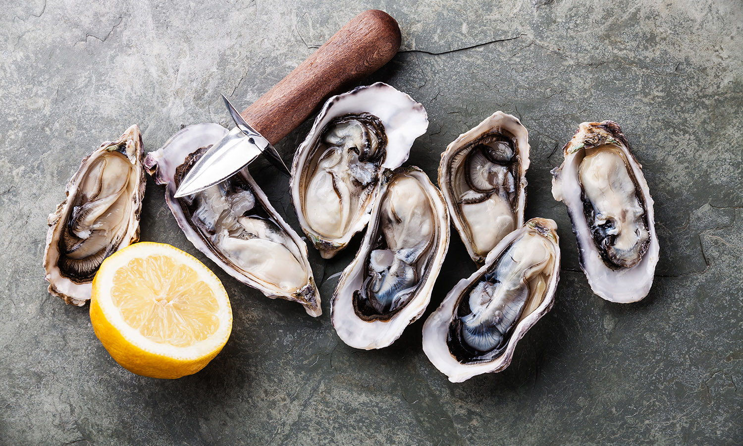 Can dogs eat oysters and what are the benefits and risk feeding oysters to my dog